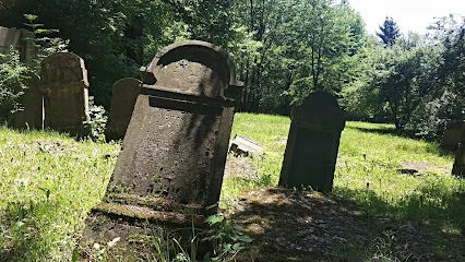 Kirkut w Krośnie (cmentarz żydowski, ul. Sarny 21)