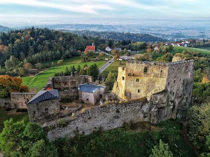 Zamek Kamieniec (ruiny w Odrzykoniu)